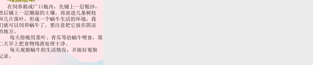 三年级科学上册 2.2《蜗牛一》课件（5） 教科版-教科版小学三年级上册自然科学课件