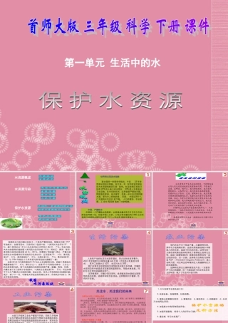 三年级科学下册 保护水资源 3课件 首师大版