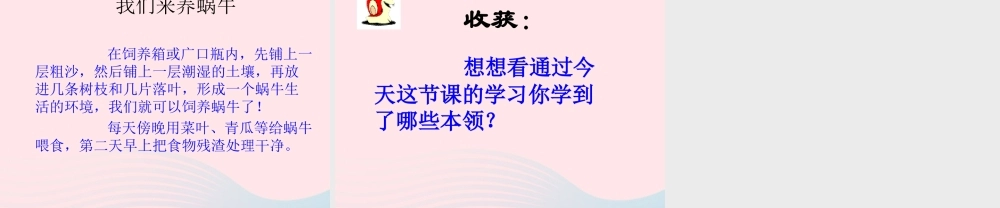三年级科学上册 2.2《蜗牛一》课件（6） 教科版-教科版小学三年级上册自然科学课件