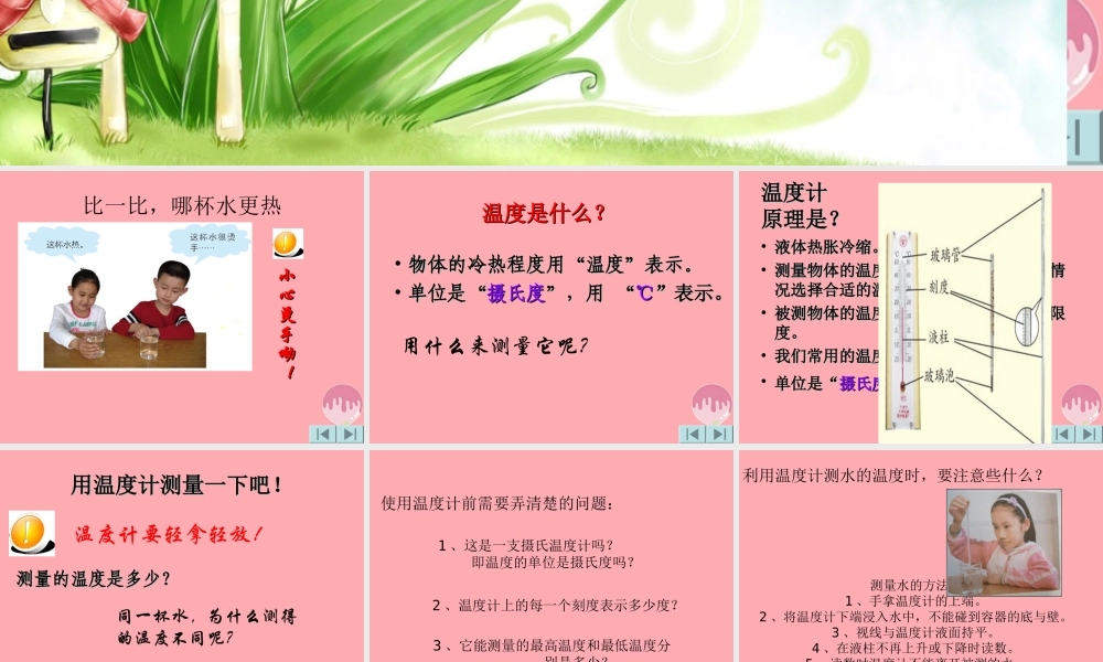 三年级科学上册 2.3 哪杯水更热课件1 青岛版五四制-青岛版小学三年级上册自然科学课件