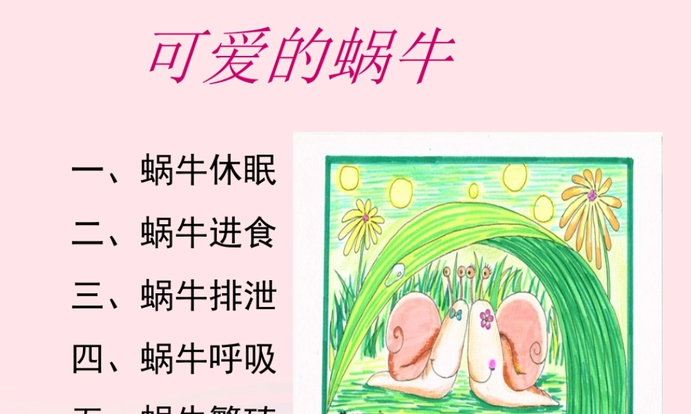 三年级科学上册 2.3《蜗牛二》课件（1） 教科版-教科版小学三年级上册自然科学课件