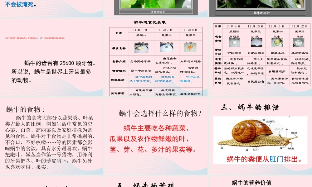 三年级科学上册 2.3《蜗牛二》课件（1） 教科版-教科版小学三年级上册自然科学课件