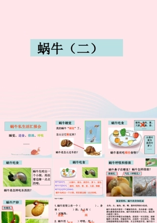 三年级科学上册 2.3《蜗牛二》课件（2） 教科版-教科版小学三年级上册自然科学课件