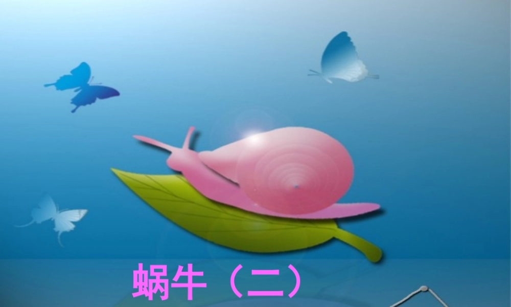 三年级科学上册 2.3《蜗牛二》课件（3） 教科版-教科版小学三年级上册自然科学课件