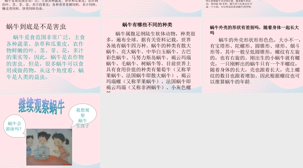 三年级科学上册 2.3《蜗牛二》课件（3） 教科版-教科版小学三年级上册自然科学课件