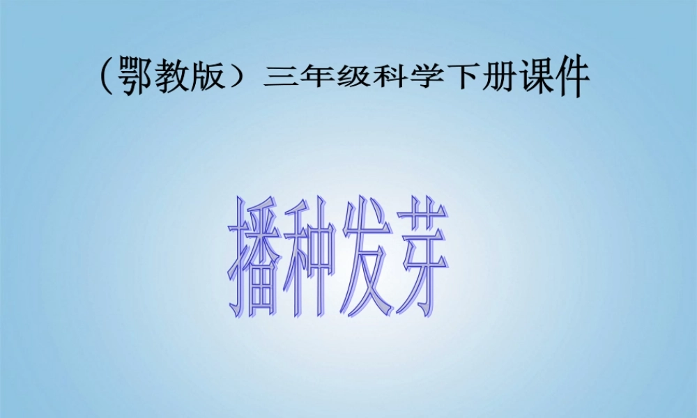 三年级科学下册 播种发芽4课件 鄂教版