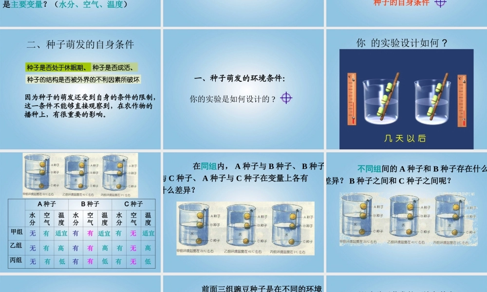 三年级科学下册 播种发芽4课件 鄂教版