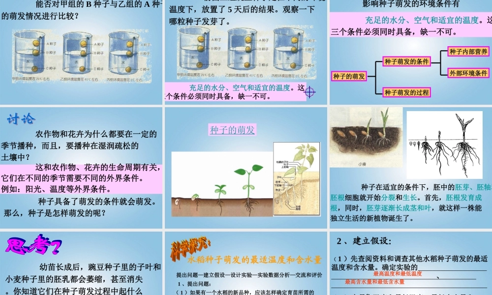 三年级科学下册 播种发芽4课件 鄂教版