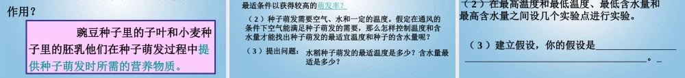 三年级科学下册 播种发芽4课件 鄂教版