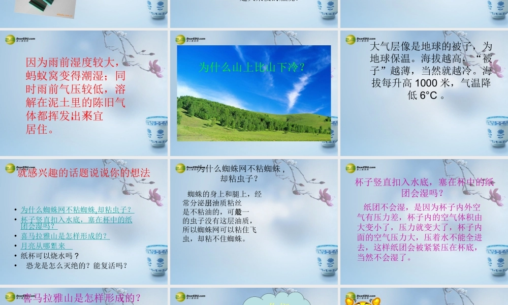 三年级科学下册 猜猜看课件2 大象版