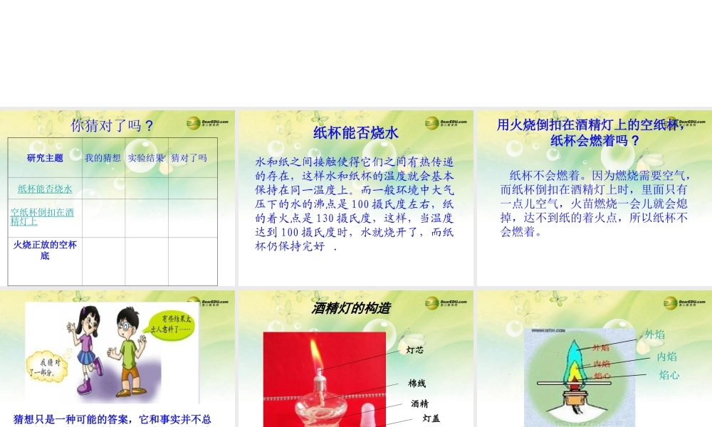 三年级科学下册 猜对了吗课件 大象版