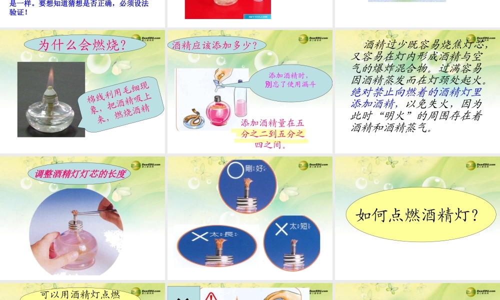 三年级科学下册 猜对了吗课件 大象版