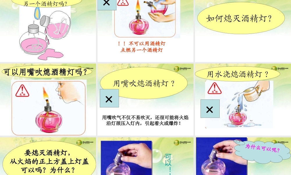 三年级科学下册 猜对了吗课件 大象版