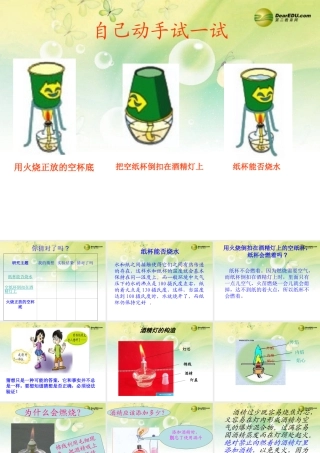 三年级科学下册 猜对了吗课件 大象版