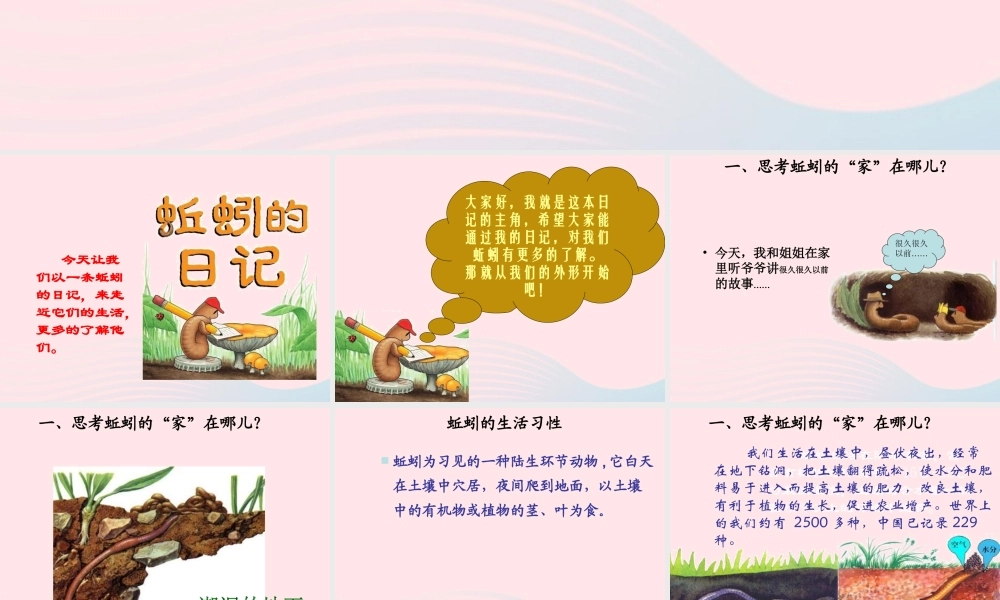 三年级科学上册 2.4《蚯蚓》课件（1） 教科版-教科版小学三年级上册自然科学课件