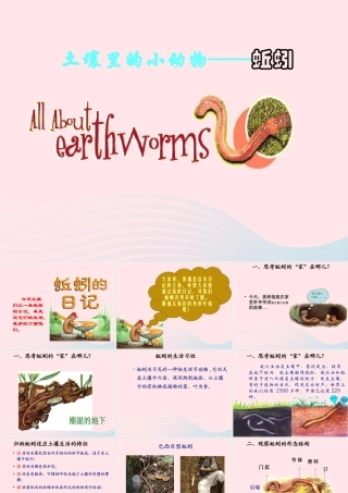 三年级科学上册 2.4《蚯蚓》课件（1） 教科版-教科版小学三年级上册自然科学课件