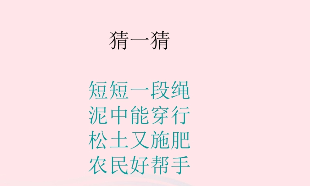 三年级科学上册 2.4《蚯蚓》课件（2） 教科版-教科版小学三年级上册自然科学课件