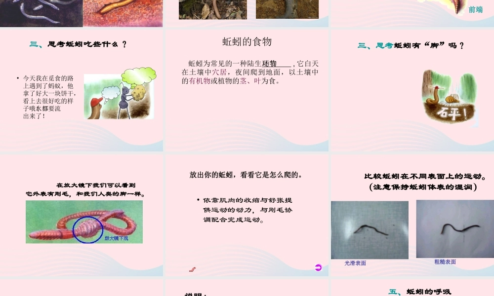 三年级科学上册 2.4《蚯蚓》课件（2） 教科版-教科版小学三年级上册自然科学课件