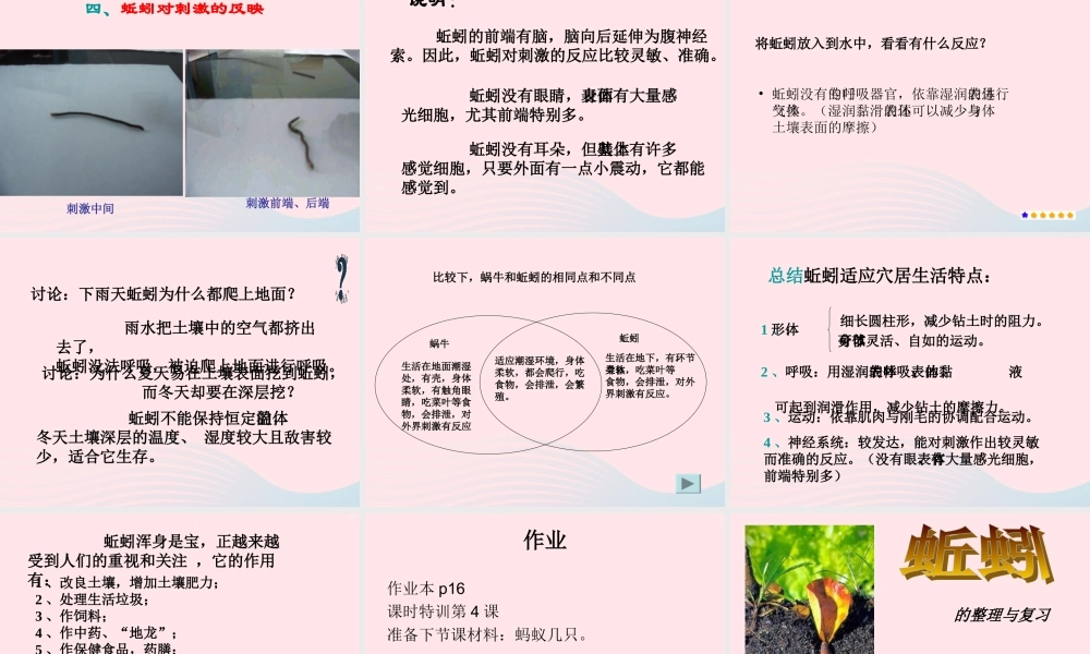 三年级科学上册 2.4《蚯蚓》课件（2） 教科版-教科版小学三年级上册自然科学课件
