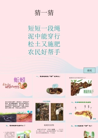 三年级科学上册 2.4《蚯蚓》课件（2） 教科版-教科版小学三年级上册自然科学课件