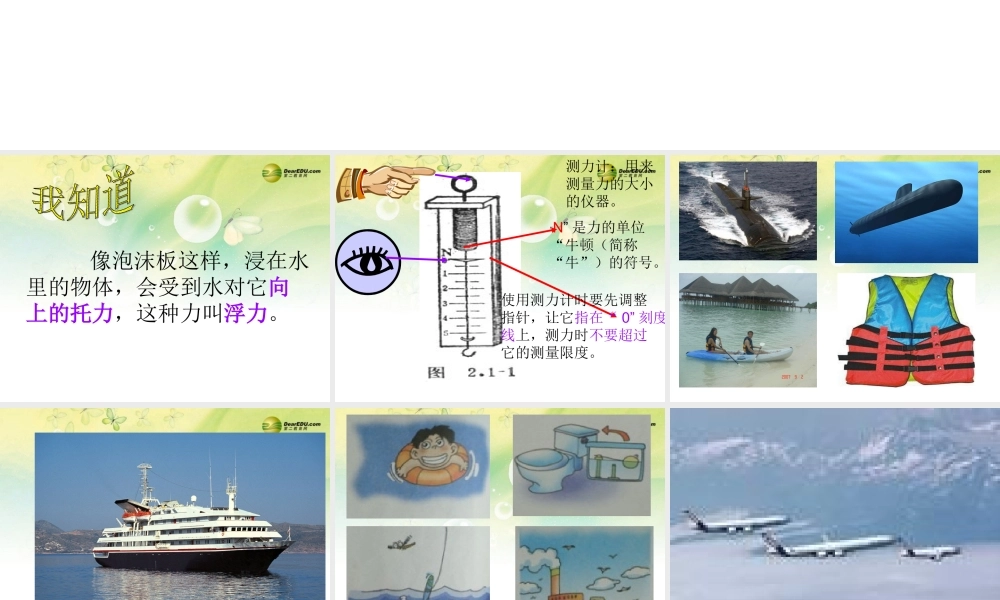 三年级科学下册 沉与浮课件 大象版