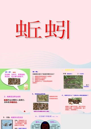 三年级科学上册 2.4《蚯蚓》课件（3） 教科版-教科版小学三年级上册自然科学课件