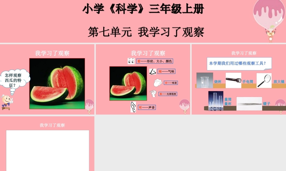 三年级科学上册 7.1 我学习了观察课件1 湘教版-湘教版小学三年级上册自然科学课件