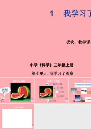 三年级科学上册 7.1 我学习了观察课件1 湘教版-湘教版小学三年级上册自然科学课件