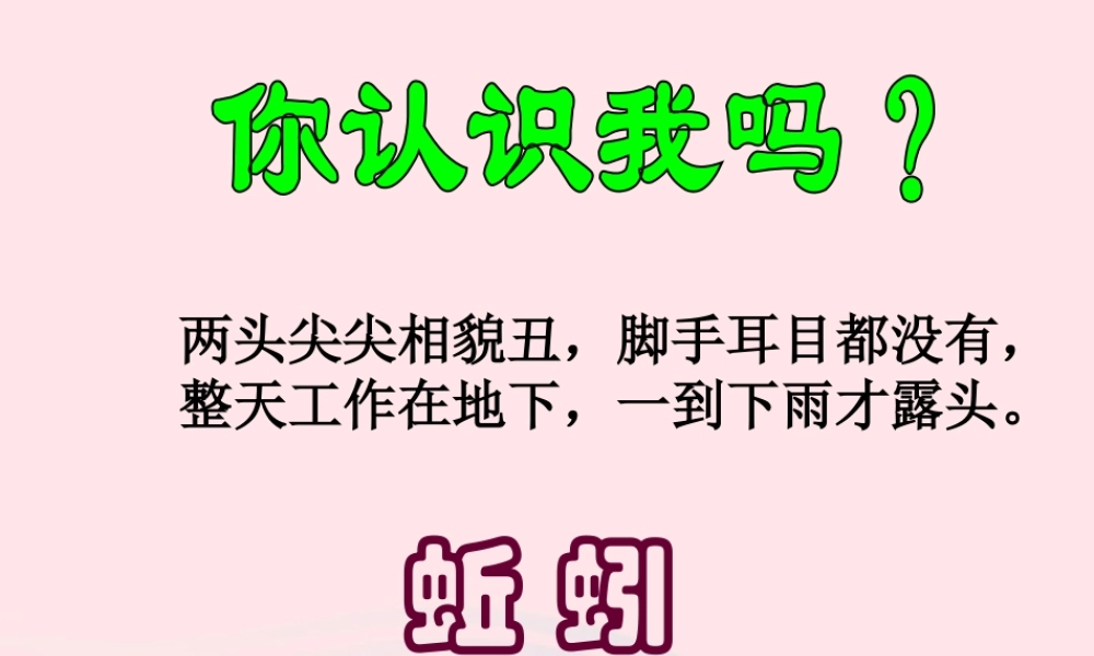 三年级科学上册 2.4《蚯蚓》课件（4） 教科版-教科版小学三年级上册自然科学课件
