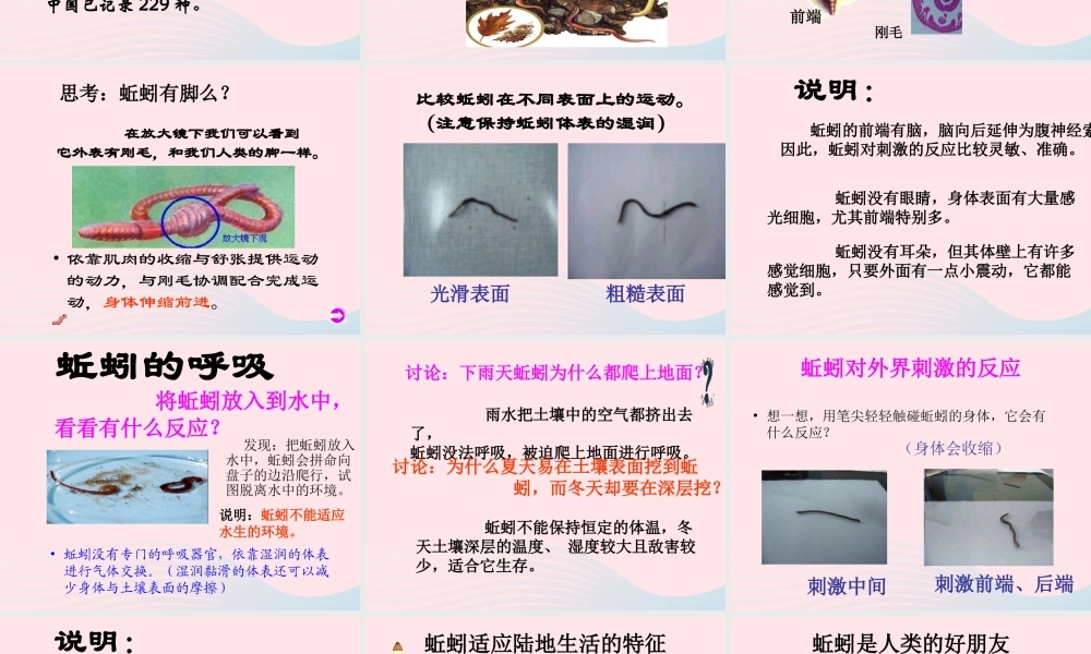三年级科学上册 2.4《蚯蚓》课件（4） 教科版-教科版小学三年级上册自然科学课件