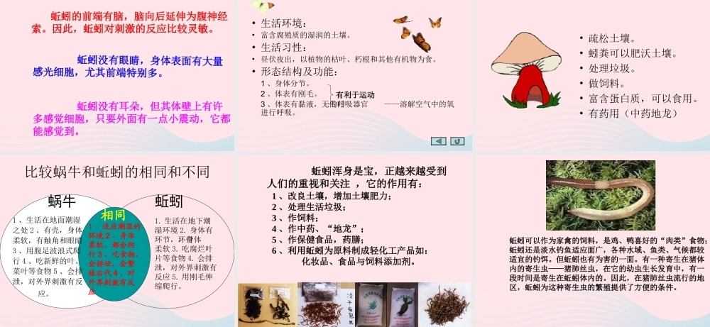 三年级科学上册 2.4《蚯蚓》课件（4） 教科版-教科版小学三年级上册自然科学课件