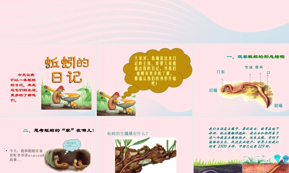 三年级科学上册 2.4《蚯蚓》课件（5） 教科版-教科版小学三年级上册自然科学课件