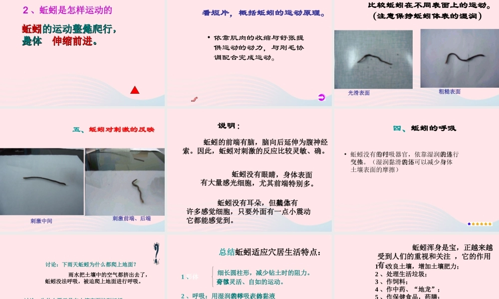 三年级科学上册 2.4《蚯蚓》课件（5） 教科版-教科版小学三年级上册自然科学课件