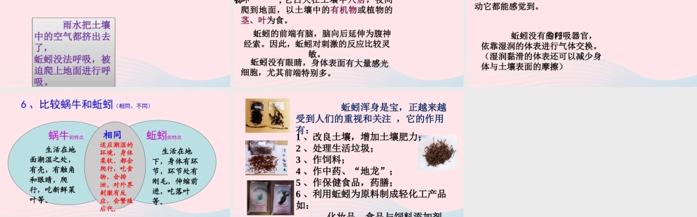 三年级科学上册 2.4《蚯蚓》课件（6） 教科版-教科版小学三年级上册自然科学课件