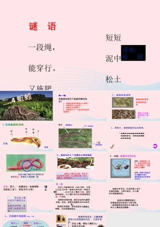 三年级科学上册 2.4《蚯蚓》课件（6） 教科版-教科版小学三年级上册自然科学课件