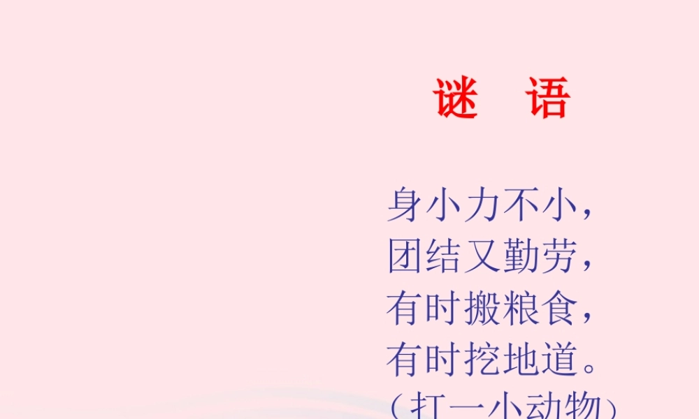 三年级科学上册 2.5《蚂蚁》课件（1） 教科版-教科版小学三年级上册自然科学课件