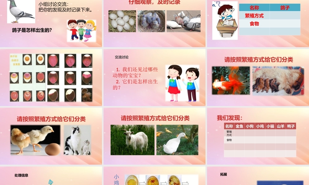 三年级科学上册 第二单元 动物的特征 1 动物的繁殖教学课件 大象版-大象版小学三年级上册自然科学课件