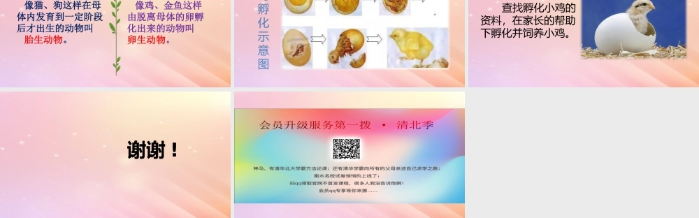 三年级科学上册 第二单元 动物的特征 1 动物的繁殖教学课件 大象版-大象版小学三年级上册自然科学课件