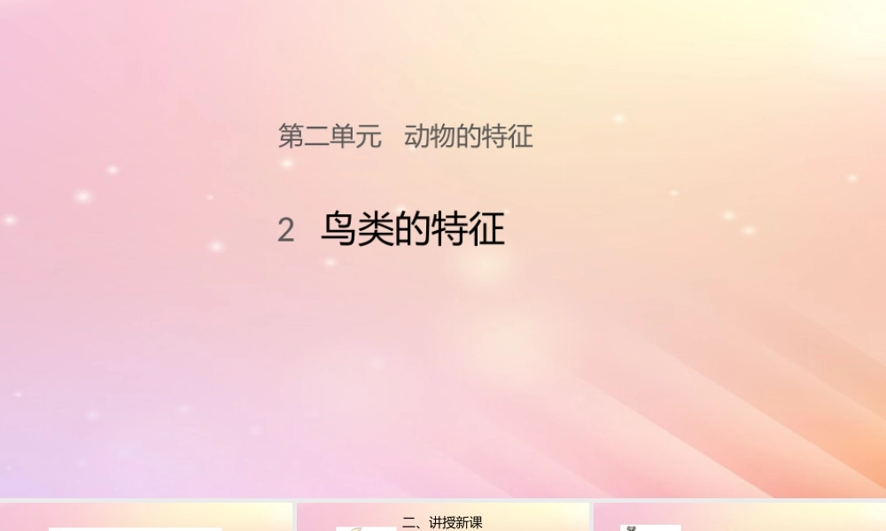 三年级科学上册 第二单元 动物的特征 2 鸟类的特征课件 大象版-大象版小学三年级上册自然科学课件