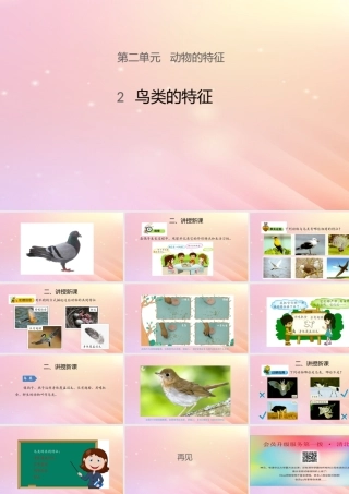 三年级科学上册 第二单元 动物的特征 2 鸟类的特征课件 大象版-大象版小学三年级上册自然科学课件