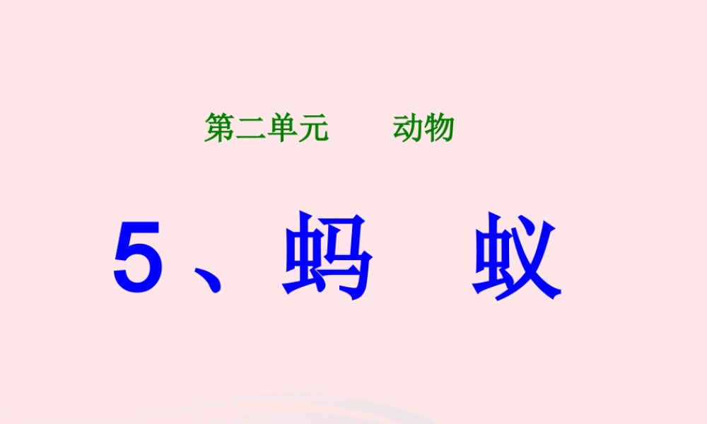 三年级科学上册 2.5《蚂蚁》课件（3） 教科版-教科版小学三年级上册自然科学课件