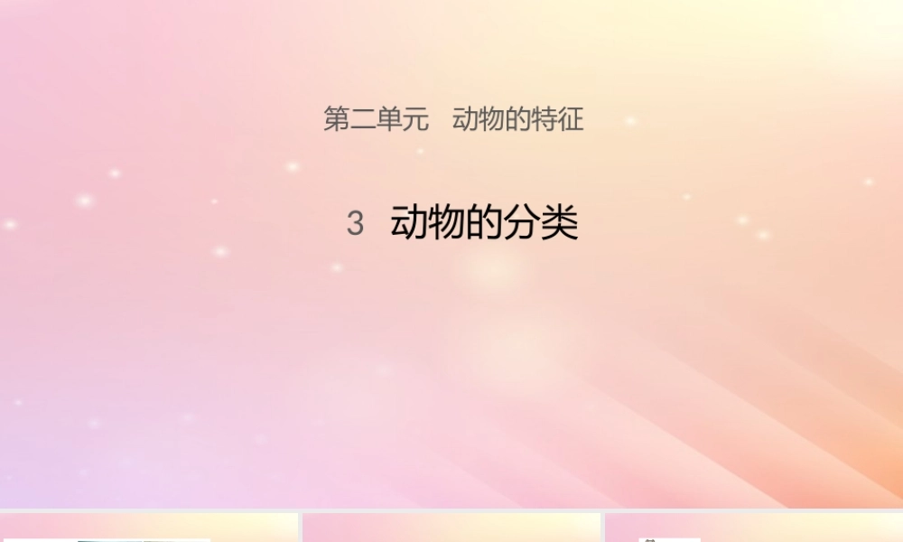 三年级科学上册 第二单元 动物的特征 3 动物的分类课件 大象版-大象版小学三年级上册自然科学课件