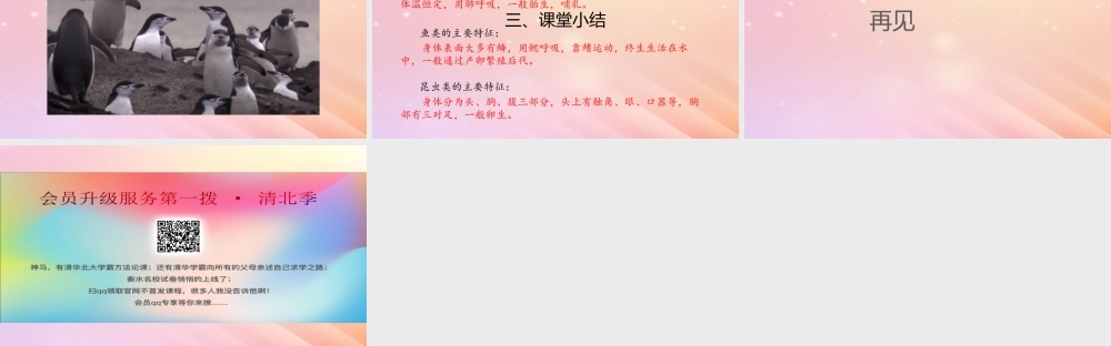 三年级科学上册 第二单元 动物的特征 3 动物的分类课件 大象版-大象版小学三年级上册自然科学课件