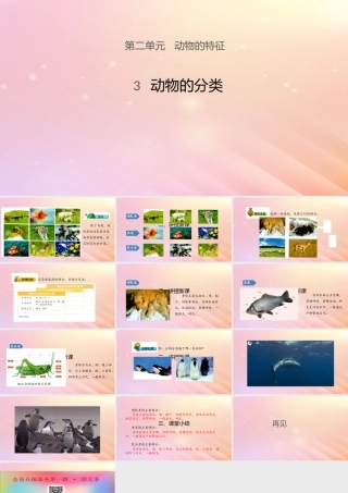 三年级科学上册 第二单元 动物的特征 3 动物的分类课件 大象版-大象版小学三年级上册自然科学课件