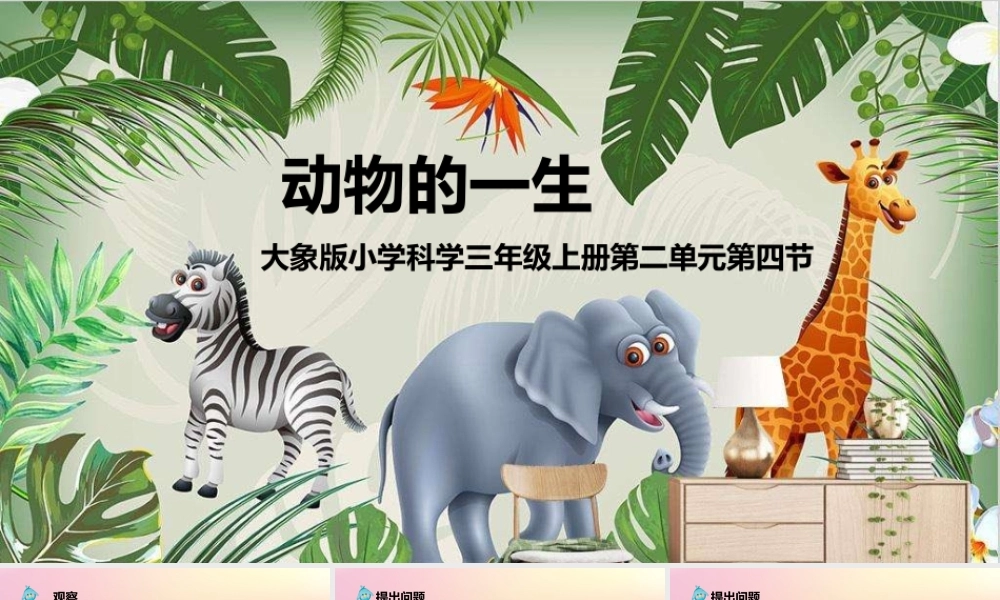 三年级科学上册 第二单元 动物的特征 4 动物的一生教学课件 大象版-大象版小学三年级上册自然科学课件
