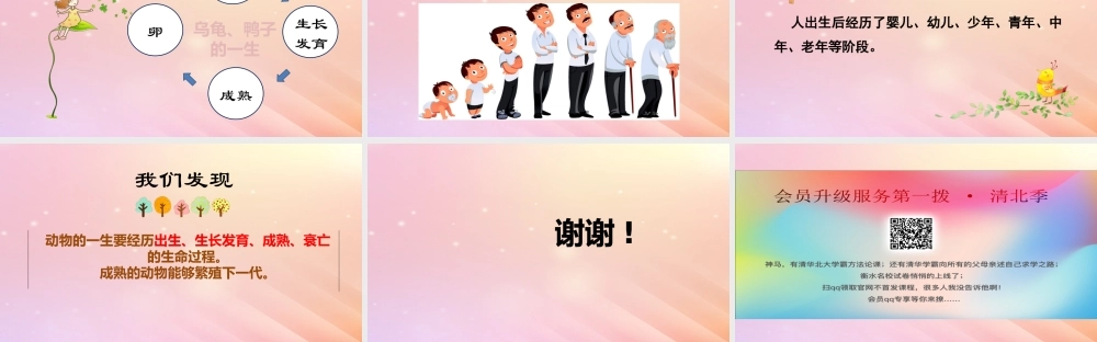 三年级科学上册 第二单元 动物的特征 4 动物的一生教学课件 大象版-大象版小学三年级上册自然科学课件