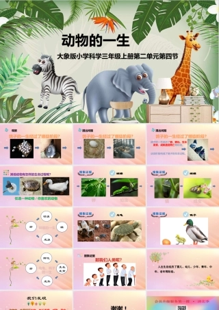三年级科学上册 第二单元 动物的特征 4 动物的一生教学课件 大象版-大象版小学三年级上册自然科学课件