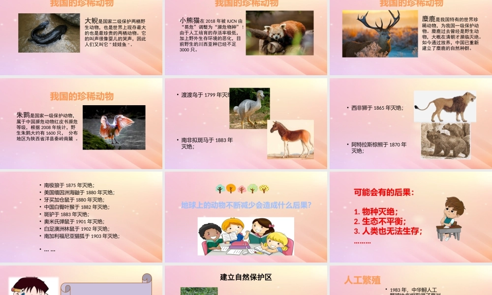 三年级科学上册 第二单元 动物的特征 5 珍稀动物教学课件 大象版-大象版小学三年级上册自然科学课件