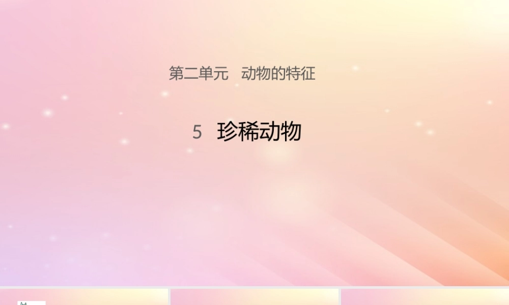 三年级科学上册 第二单元 动物的特征 5 珍稀动物课件 大象版-大象版小学三年级上册自然科学课件