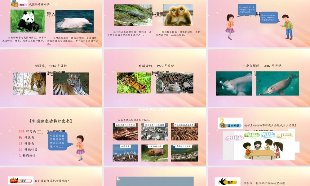 三年级科学上册 第二单元 动物的特征 5 珍稀动物课件 大象版-大象版小学三年级上册自然科学课件